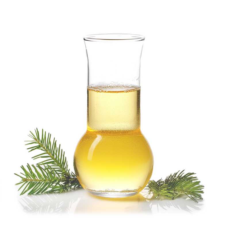 Jedle patří do čeledi borovicovitých (Pinaceae). Esenciální olej z jed le kanadské (Tsuga Canadensis Leaf Oil) se již dlouho používá v lidovém léč